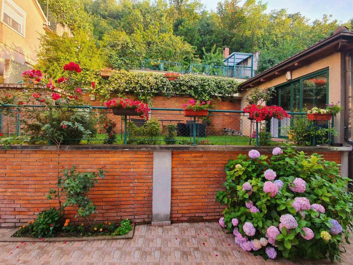 Villa Aya - With Sauna And Outdoor Swimming Pool Mostar Eksteriør bilde