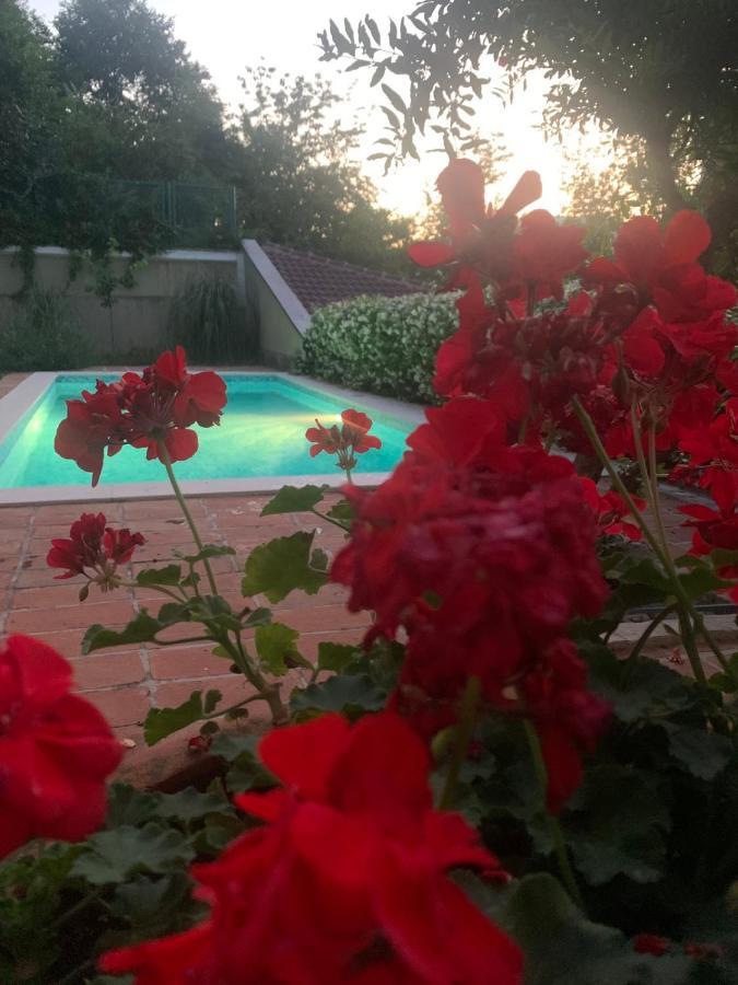 Villa Aya - With Sauna And Outdoor Swimming Pool Mostar Eksteriør bilde