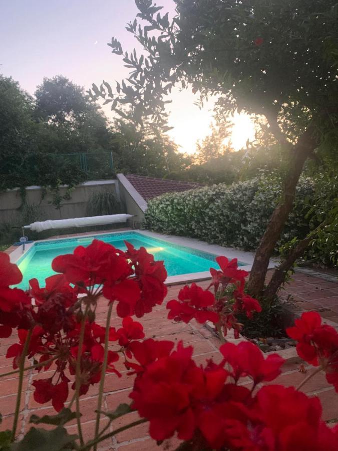Villa Aya - With Sauna And Outdoor Swimming Pool Mostar Eksteriør bilde